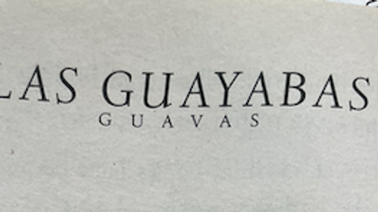 Las Guayabas - Great Depression Part  2